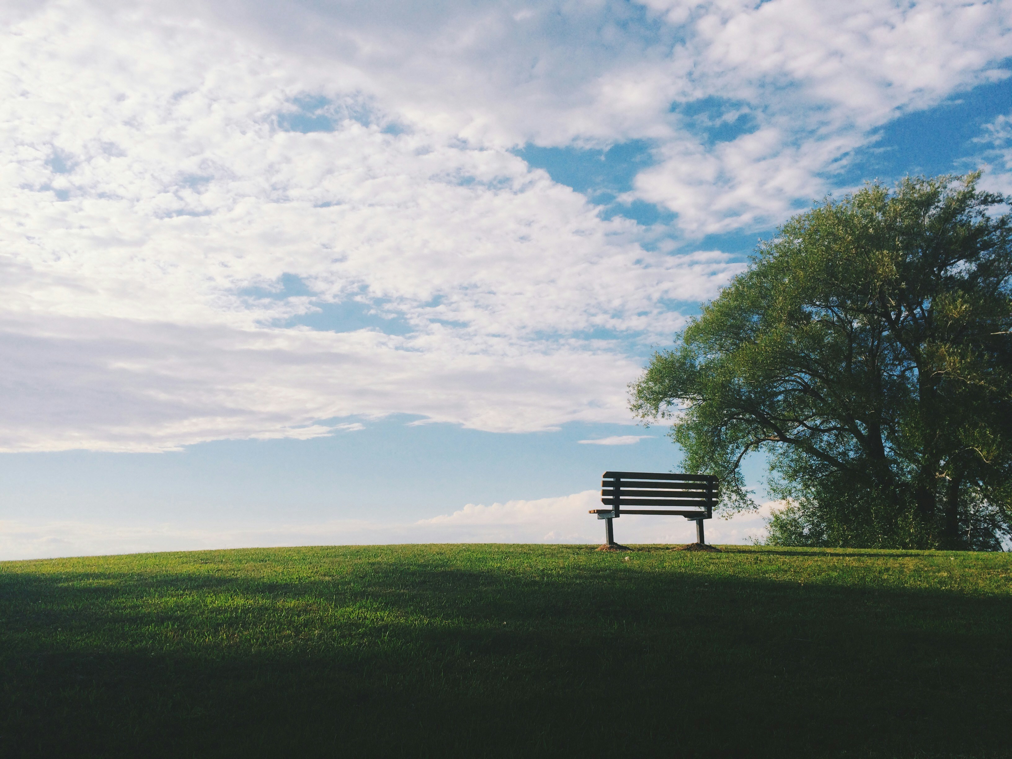 A solitary park bench on a grassy hill under a vast sky with fluffy clouds and a large tree on the right, conveying a peaceful, serene mood.